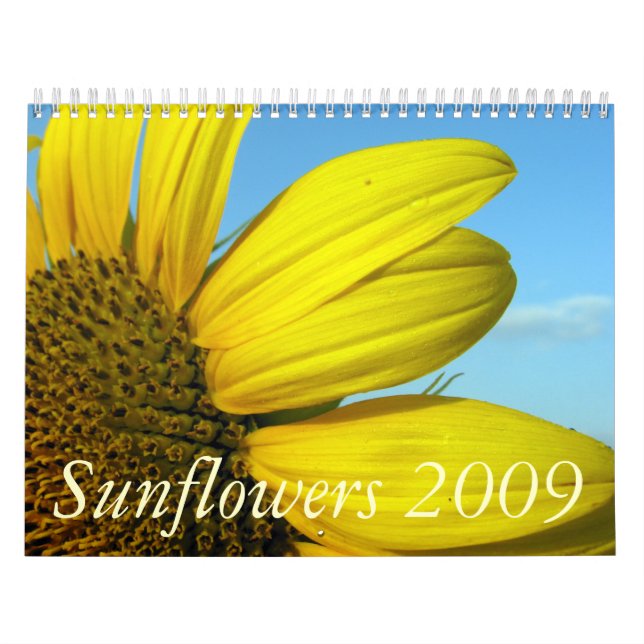 Sonnenblumen 2009 kalender (Titelbild)