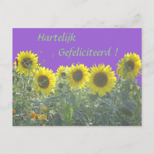 Sonnenblumen Alles Gute zum Geburtstag auf niederl Postkarte
