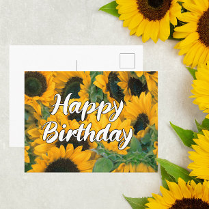 Sonnenblumen Alles Gute zum Geburtstag Postkarte