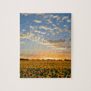 Sonnenblumen am Sonnenuntergang Puzzle