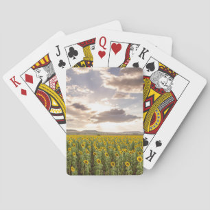 Sonnenblumen am Sonnenuntergang Spielkarten