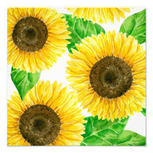 Sonnenblumen Aquarell Fotodruck