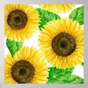 Sonnenblumen Aquarell Poster