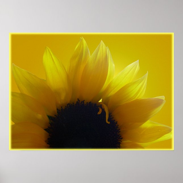 Sonnenblumen Art Printing Schöne Blume Drucken Poster (Vorne)