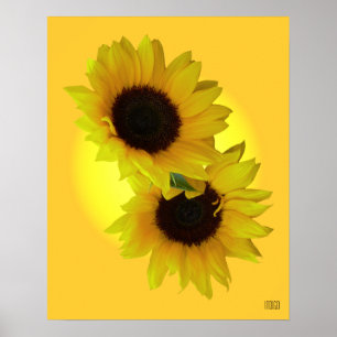 Sonnenblumen Art Printing Schöne Blume Drucken Poster