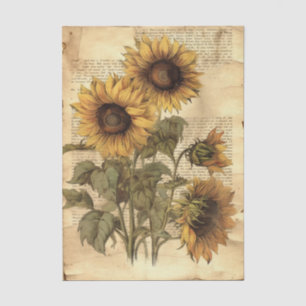 Sonnenblumen auf abgenutztem Pergamentpapier mit S Seidenpapier