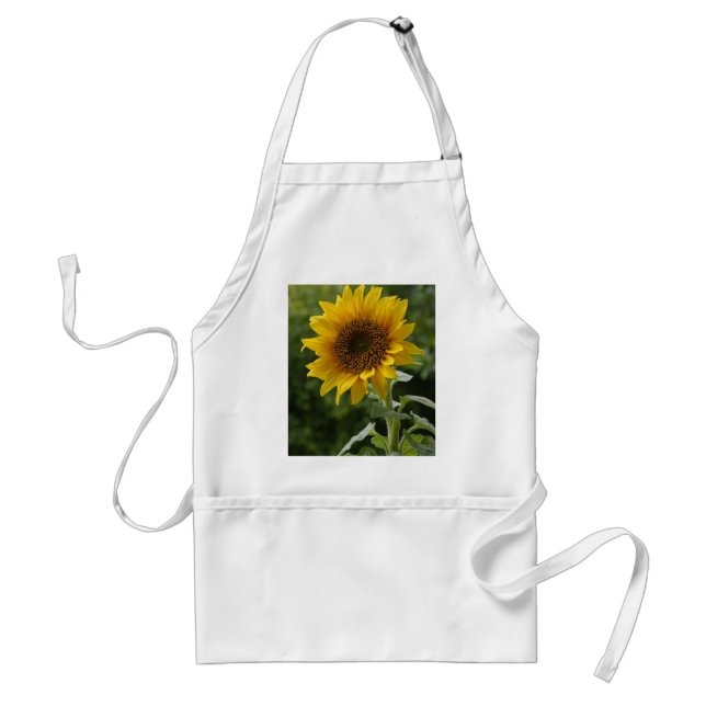 Sonnenblumen auf dem Gebiet Schürze (Vorne)