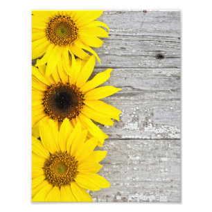 Sonnenblumen auf einem Tisch Fotodruck