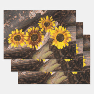 Sonnenblumen auf Logs Braun Gelb Vintag rustikal Geschenkpapier Set