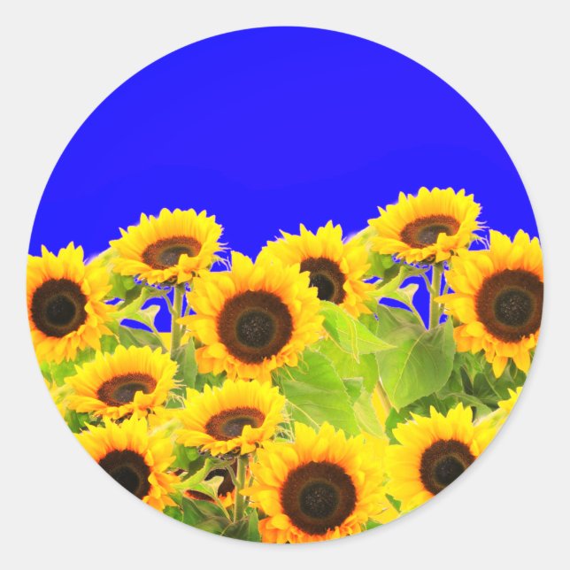 Sonnenblumen Aufkleber Ukraine Flaggenfarben - Fre (Vorderseite)