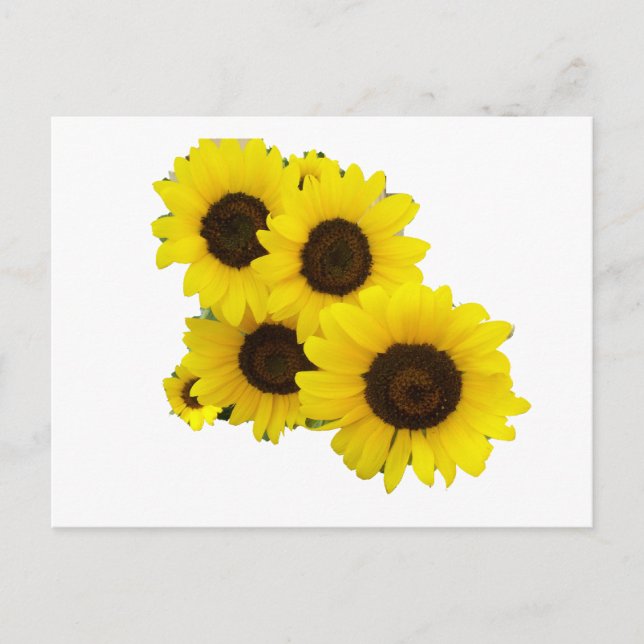 Sonnenblumen ausschneiden postkarte (Vorderseite)