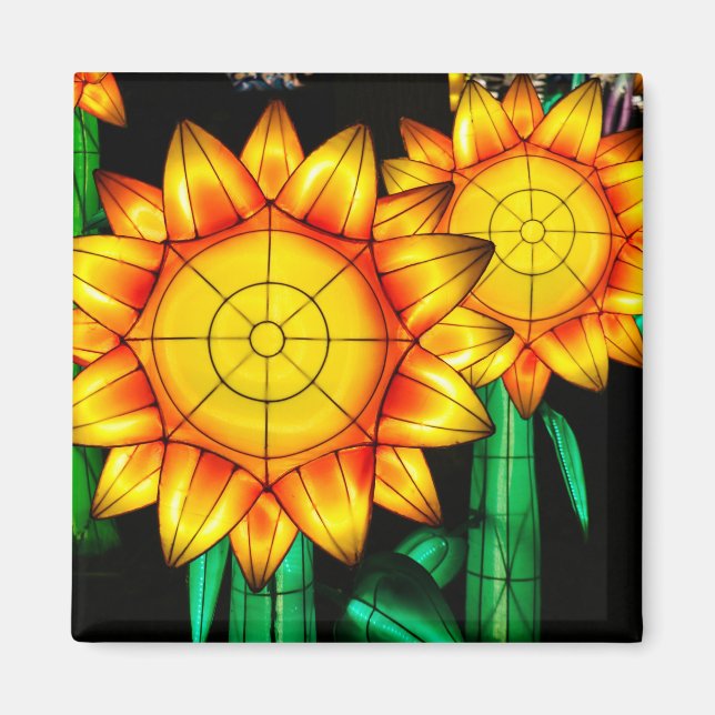 Sonnenblumen bei Sonnenflare Magnet (Vorne)