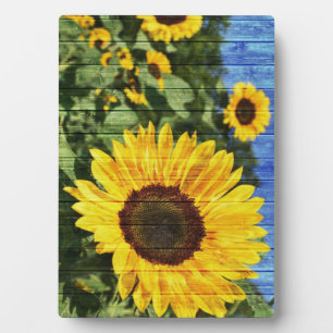 Sonnenblumen bemalt Zaun Fotoplatte