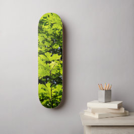 Sonnenblumen-Blätter im Wald Skateboard