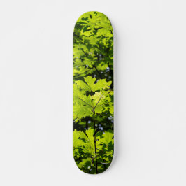 Sonnenblumen-Blätter im Wald Skateboard