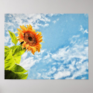 Sonnenblumen Blauer Himmel und Wolken Decoupage Ku Poster