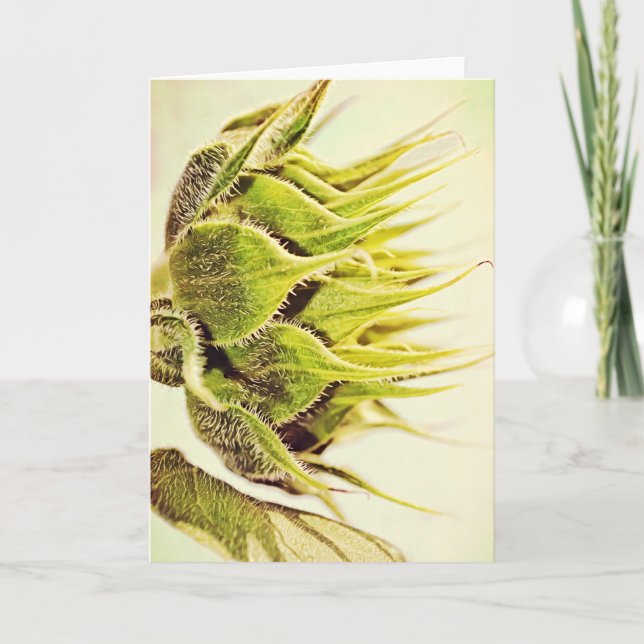 Sonnenblumen Blume Green Profile Art Note Card Karte (Vorderseite)
