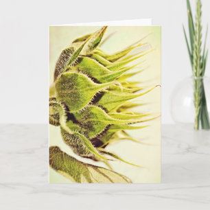 Sonnenblumen Blume Green Profile Art Note Card Karte