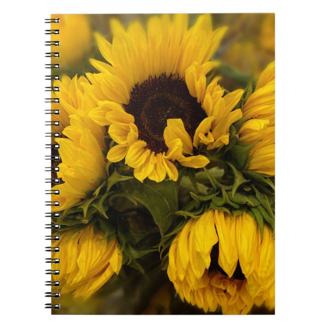 Sonnenblumen Blur Notebook Notizblock (Vorderseite)