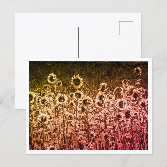 "Sonnenblumen-Brigade" Postkarte  (Vorne/Hinten)