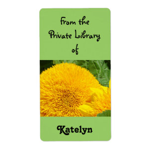 Sonnenblumen Buchmarken Private Bibliothek Blume