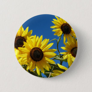 Sonnenblumen Button