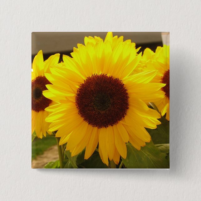 Sonnenblumen Button (Vorderseite)