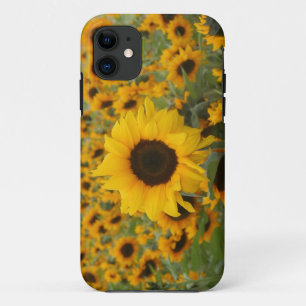 Sonnenblumen Case-Mate iPhone Hülle