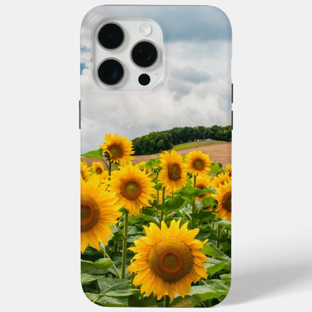 Sonnenblumen Case-Mate iPhone Hülle (Rückseite)
