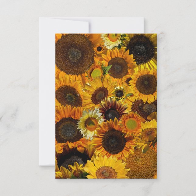 Sonnenblumen Collage  Mitteilungskarte (Vorderseite)
