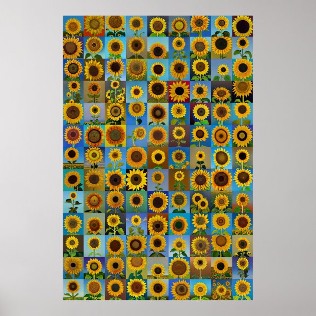 Sonnenblumen-Collage Poster (Vorne)