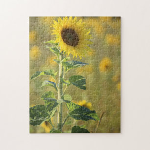 Sonnenblumen-Day-Puzzle Puzzle