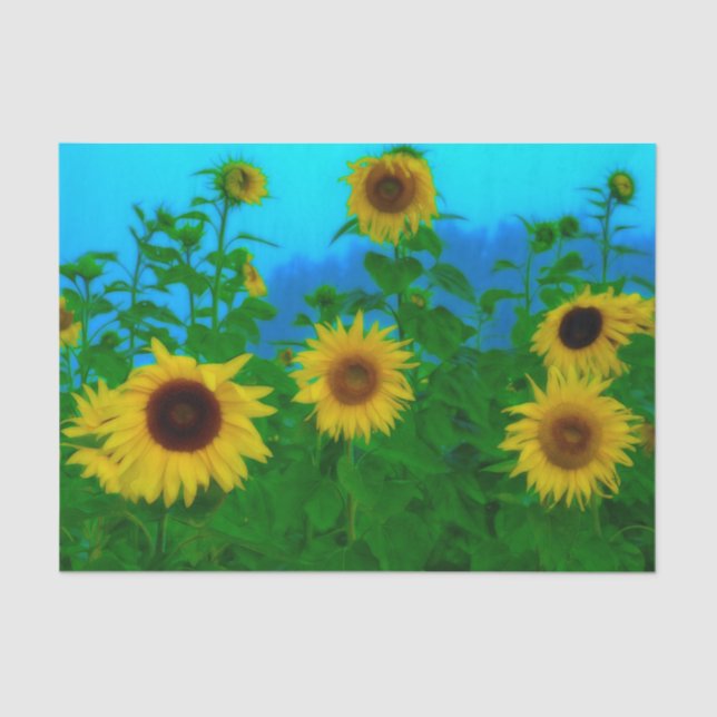 Sonnenblumen Feld Art Blue Sky Gelbe Grüne Gartena Seidenpapier (Vorderseite)
