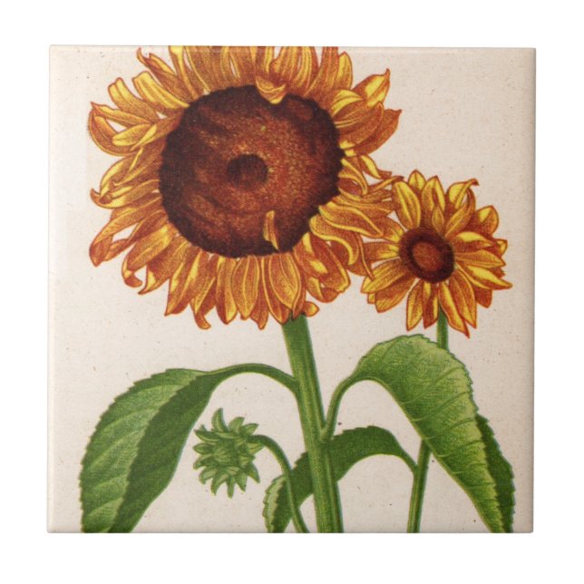 Sonnenblumen Fliese (Vorderseite)