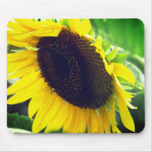 Sonnenblumen-Foto auf einem Mauspad gedruckt