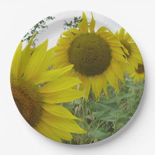 Sonnenblumen Foto Custom Paper Teller 9 in
