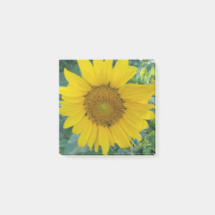 Sonnenblumen-Foto Post-it Klebezettel