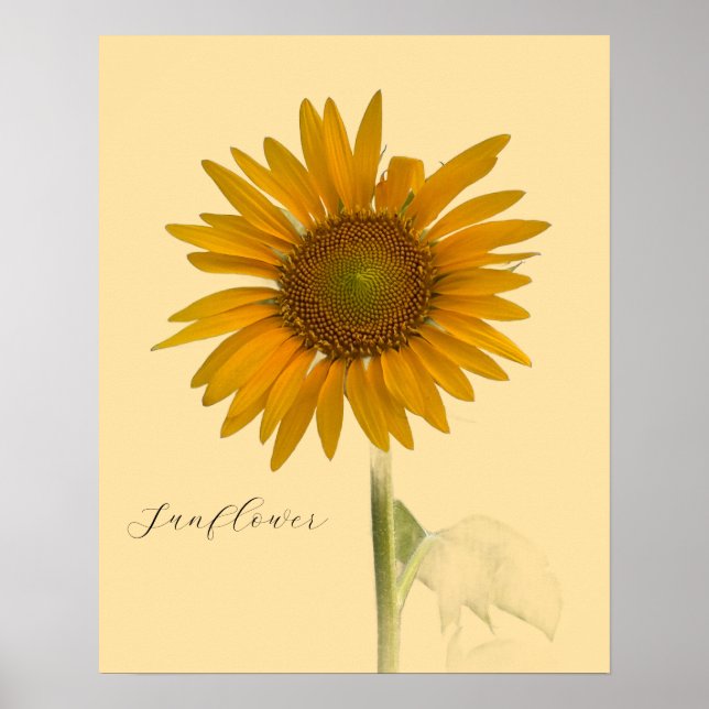 Sonnenblumen-Foto-Poster Poster (Vorne)