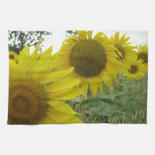 Sonnenblumen Foto Teetuch 40,6 cm x 61 cm Geschirrtuch