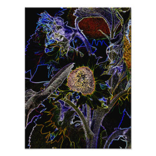 SONNENBLUMEN FOTODRUCK