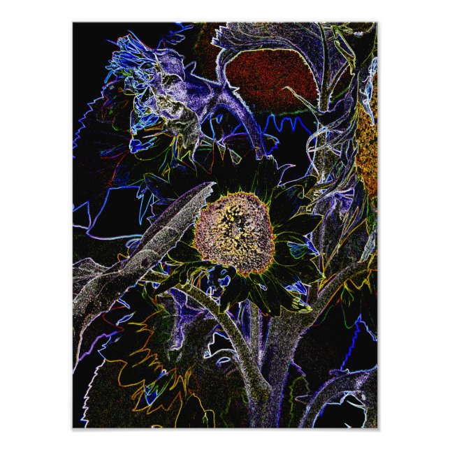 SONNENBLUMEN FOTODRUCK (Vorne)