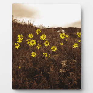 Sonnenblumen Fotoplatte