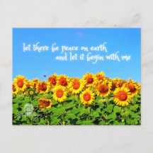 Sonnenblumen Frieden für die Ukraine