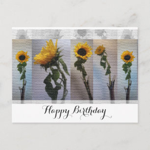 Sonnenblumen Geburtstag Postkarte
