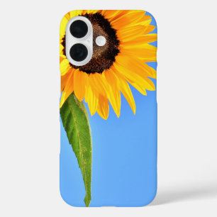 Sonnenblumen gegen Sun iPhone Case Blue Sky