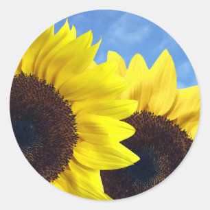 Sonnenblumen-Gelbe-Blumen-Hochzeit Runder Aufkleber