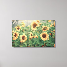 Sonnenblumen Gelbe Vintage Textur Blumenkunst