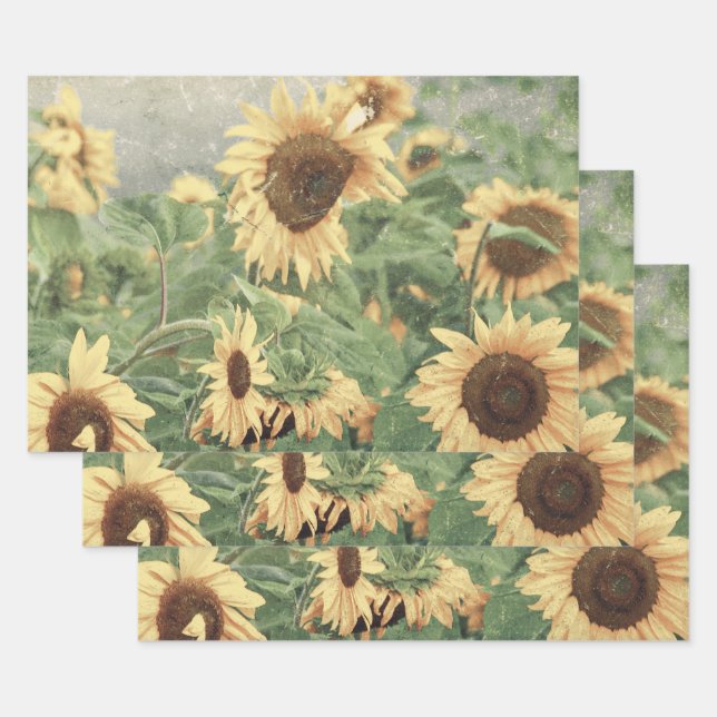 Sonnenblumen Gelbes Dekor Geschenkpapier Set (Set)