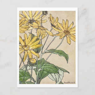 Sonnenblumen Gemälde von Hannah Borger Overbeck Postkarte
