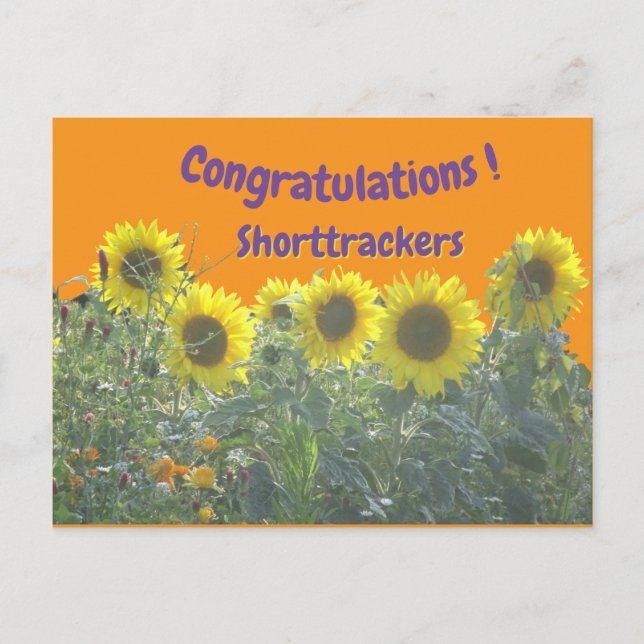 Sonnenblumen Gratulation Kundentext Postkarte (Vorderseite)